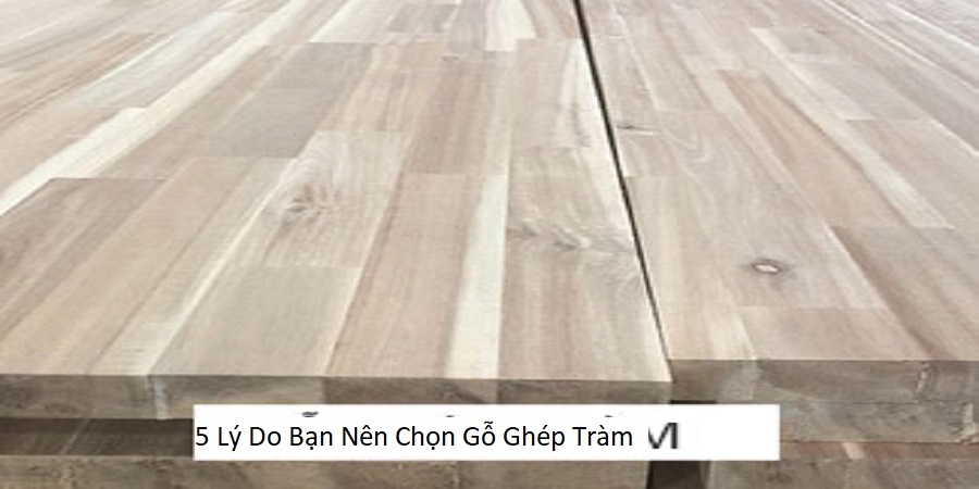 5 Lý Do Bạn Nên Chọn Gỗ Ghép Tràm
