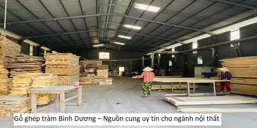 Gỗ ghép tràm Bình Dương – Nguồn cung uy tín cho ngành nội thất